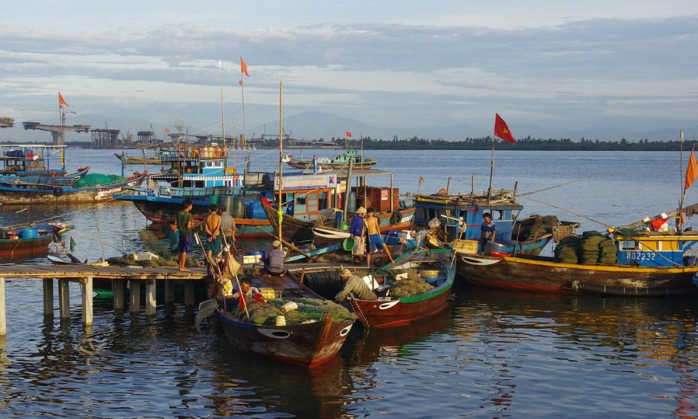 Hoi An fishing village - 6