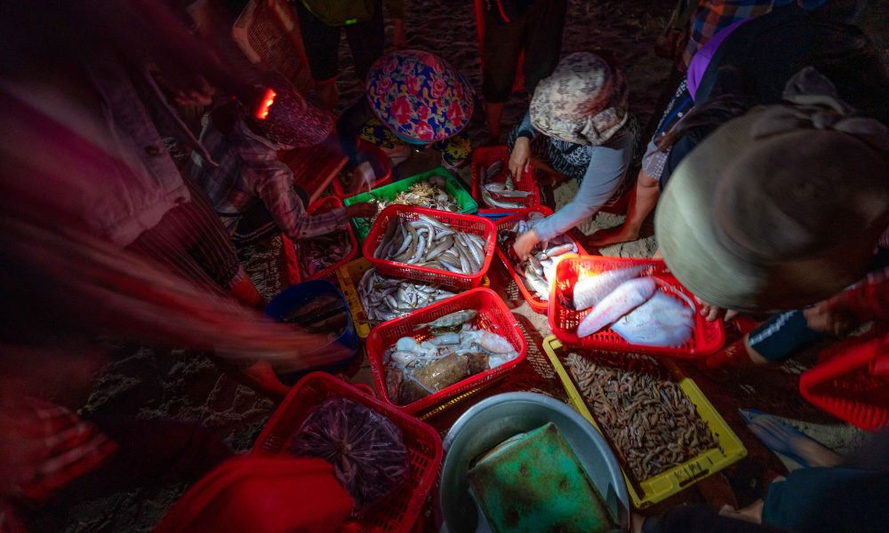 Hoi An fishing village - 8