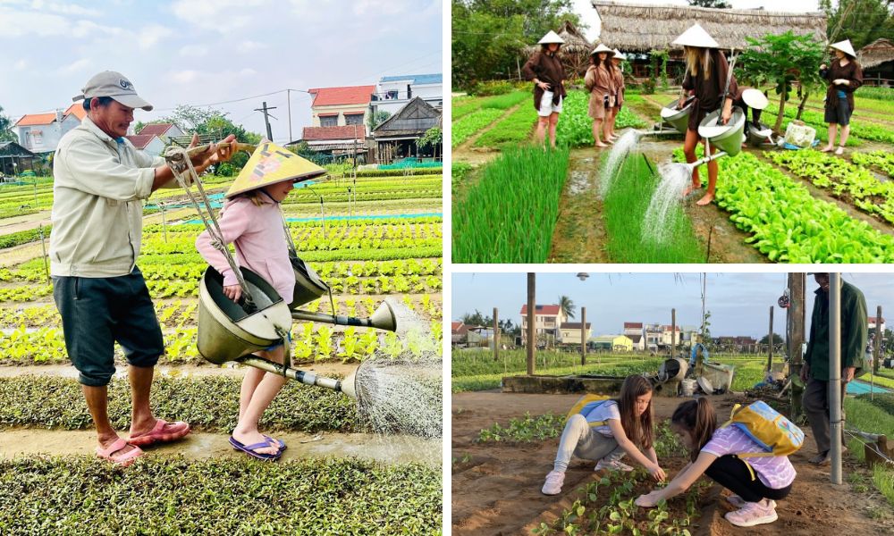 Tra Que vegetable village - 3