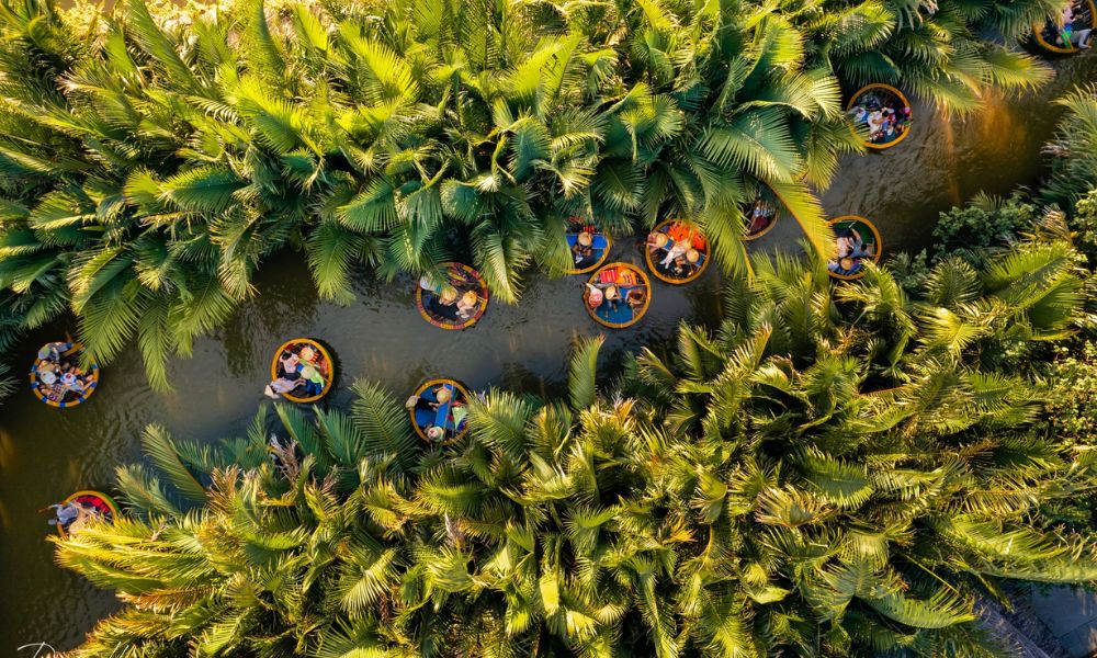 Hoi An coconut village - Bay Mau coconut forest - 1
